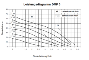 DMP 5