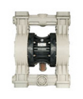 DMP 503